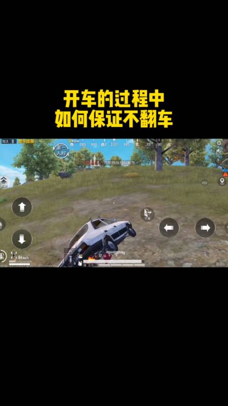 和平精英「路易威登」外挂